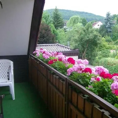 Διαμέρισμα Haus Matschek Bad Harzburg